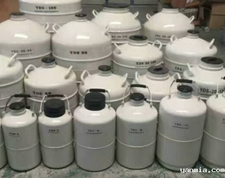 液氮罐 液氮罐