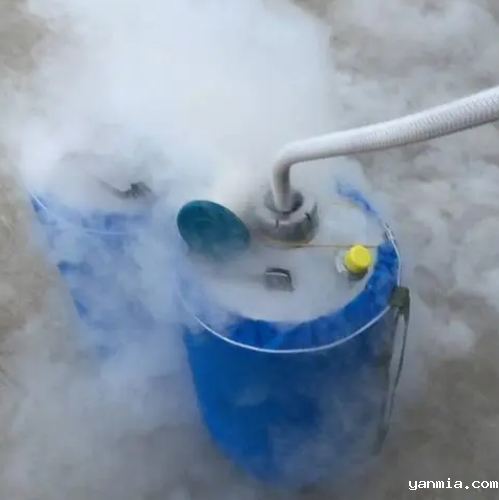 液氮罐 液氮罐